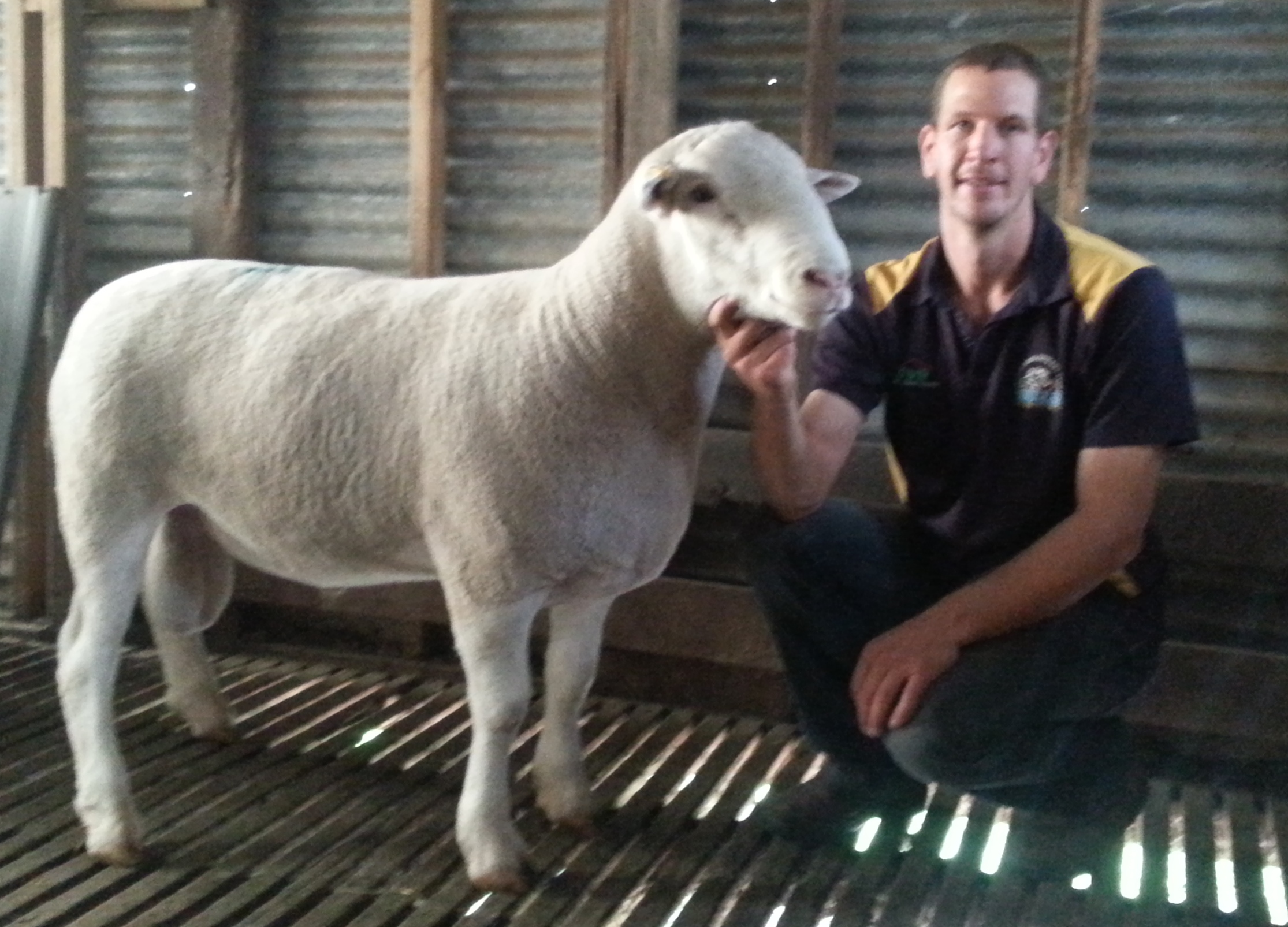 Detpa Grove - 130131